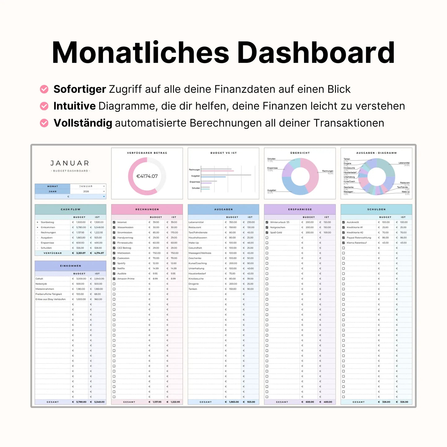 Haushaltsbuch Plus - Pink Edition