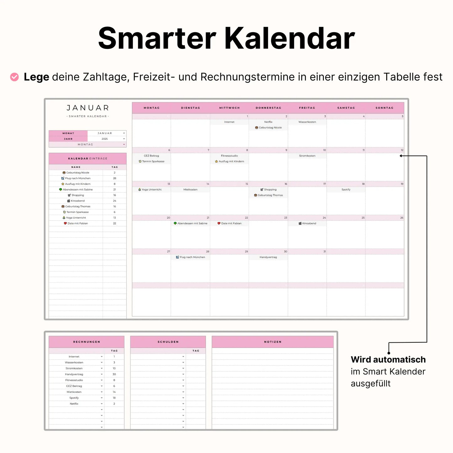 Haushaltsbuch Plus - Pink Edition